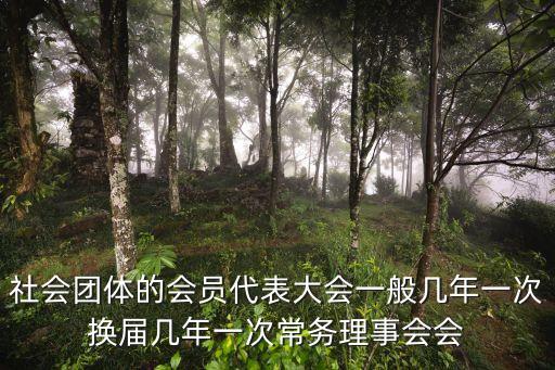 深圳政協幾年換屆，社會團體的會員代表大會一般幾年一次換屆幾年一次常務理事會會