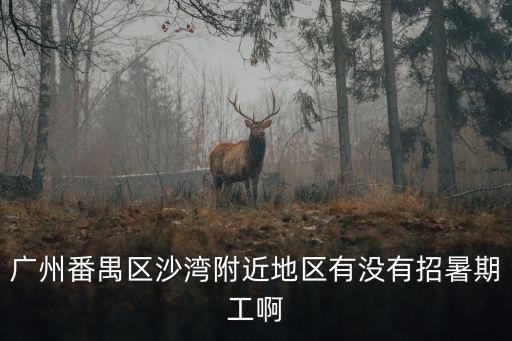 廣州番禺區沙灣附近地區有沒有招暑期工啊