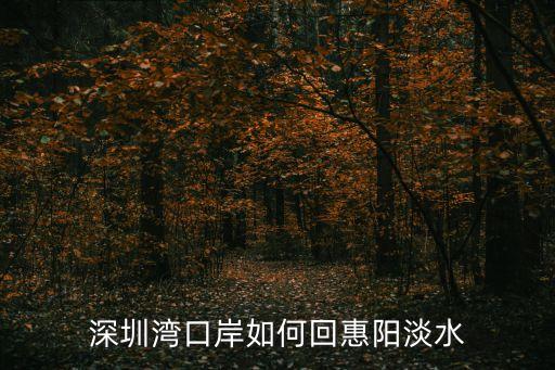 深圳灣出口有什么車回淡水，深圳灣口岸如何回惠陽淡水