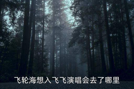 飛輪海想入飛飛演唱會去了哪里