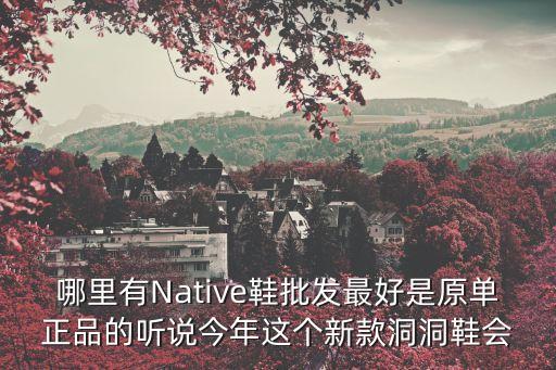 哪里有Native鞋批發最好是原單正品的聽說今年這個新款洞洞鞋會