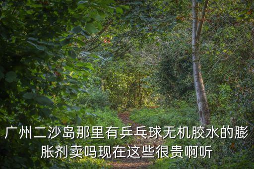 廣州二沙島那里有乒乓球無機膠水的膨脹劑賣嗎現在這些很貴啊聽