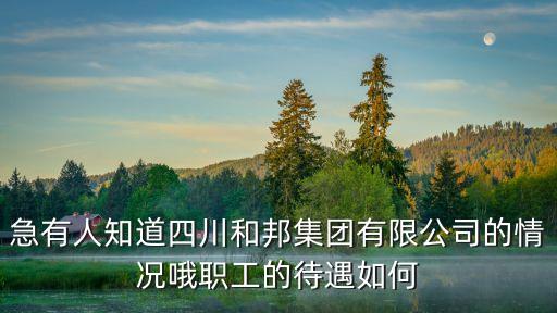 急有人知道四川和邦集團有限公司的情況哦職工的待遇如何