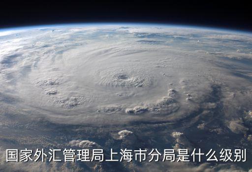 國家外匯管理局上海市分局是什么級別