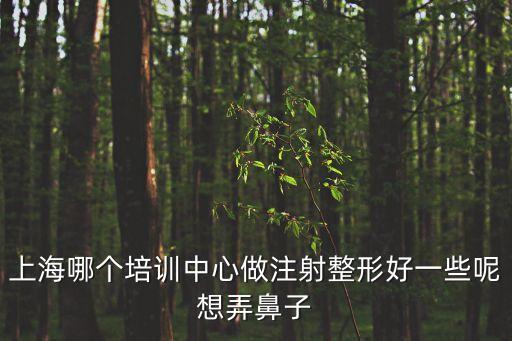 上海哪個培訓中心做注射整形好一些呢想弄鼻子