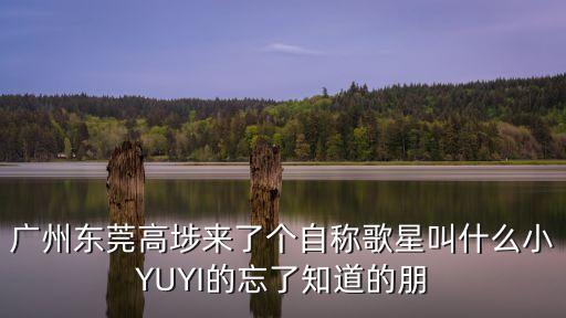 廣州東莞高埗來了個自稱歌星叫什么小YUYI的忘了知道的朋
