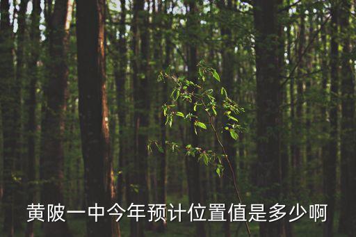 廣州黃陂中學(xué)位址，2009黃陂六中位置值