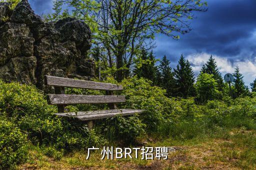 廣州車靠山招聘，誰知道廣州那里招汽車方面的人嗎