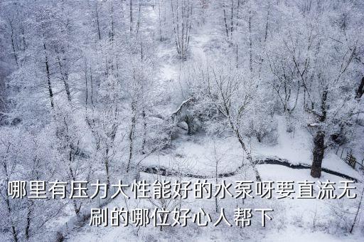 哪里有壓力大性能好的水泵呀要直流無刷的哪位好心人幫下