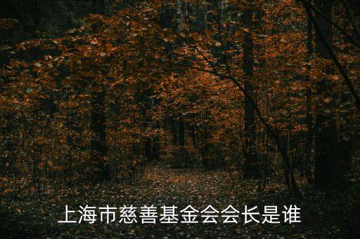 上海市慈善基金會(huì)會(huì)長(zhǎng)是誰(shuí)