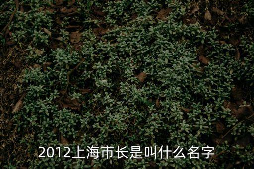 受百姓稱贊的上海市長，上海市長楊雄是哪里人