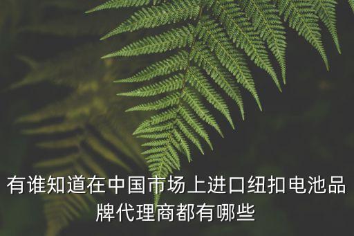 有誰知道在中國市場上進口紐扣電池品牌代理商都有哪些