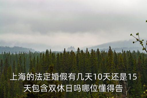 上海市政府 休假，世博會上海是不是規定放假放幾天啊幾號到幾號