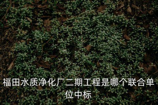 福田水質凈化廠二期工程是哪個聯合單位中標