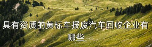 具有資質的黃標車報廢汽車回收企業有哪些
