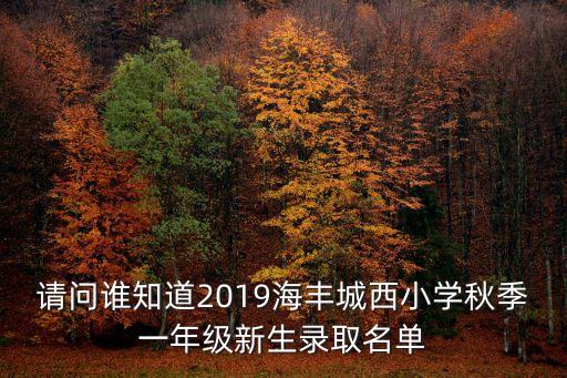 2019深圳小學錄取結果，深圳龍崗申請小學一年級學位錄取怎么查詢得到