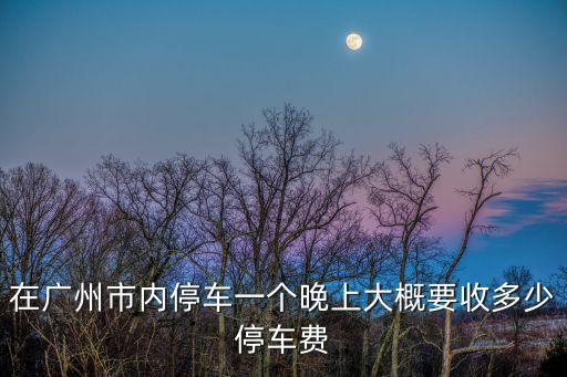 在廣州市內停車一個晚上大概要收多少停車費