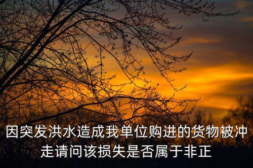 因突發洪水造成我單位購進的貨物被沖走請問該損失是否屬于非正