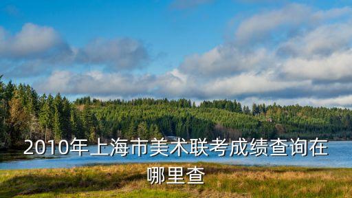 2010年上海市美術聯考成績查詢在哪里查