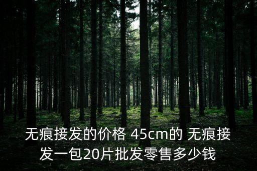 無痕接發的價格 45cm的 無痕接發一包20片批發零售多少錢