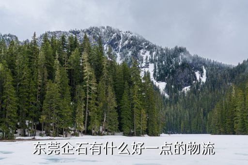東莞企石鎮(zhèn)干貨配送，東莞企石有什么好一點的物流