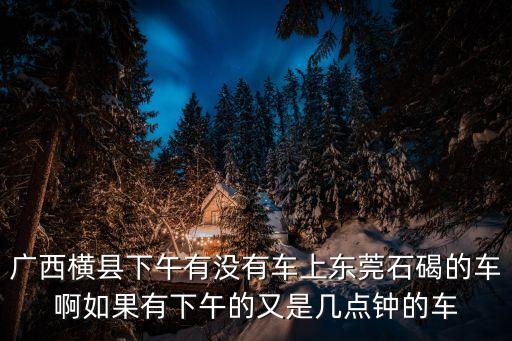 廣西橫縣下午有沒有車上東莞石碣的車啊如果有下午的又是幾點鐘的車