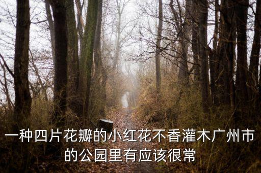 廣州路邊小紅花，現在廣州的道路兩邊開的是什么花
