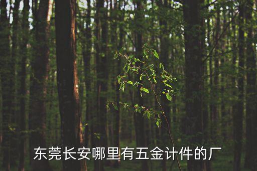 東莞長安哪里有五金計件的廠