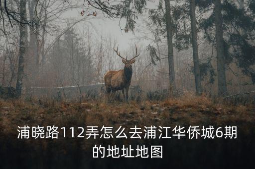 浦曉路112弄怎么去浦江華僑城6期的地址地圖