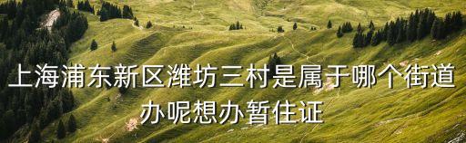 上海浦東新區(qū)濰坊三村是屬于哪個(gè)街道辦呢想辦暫住證