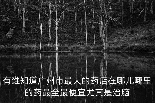 有誰知道廣州市最大的藥店在哪兒哪里的藥最全最便宜尤其是治腦