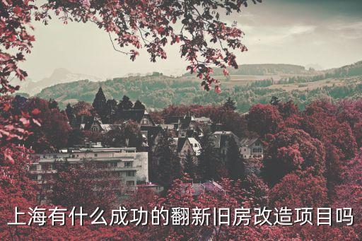 上海有什么成功的翻新舊房改造項(xiàng)目嗎