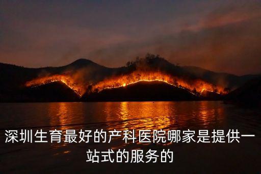 深圳生育最好的產科醫院哪家是提供一站式的服務的
