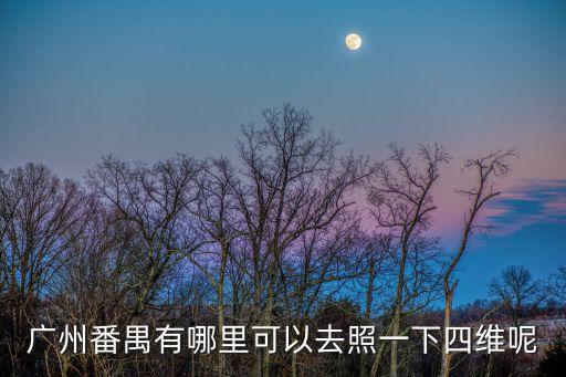 廣州番禺有哪里可以去照一下四維呢