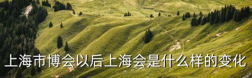 上海市金博會后還有什么事件，上海市博會以后上海會是什么樣的變化