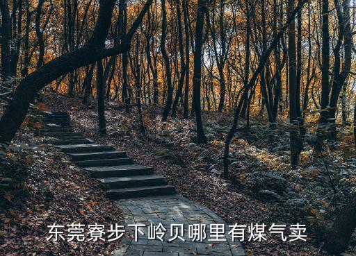 東莞寮步嶺廈煤氣，東莞寮步下嶺貝哪里有煤氣賣