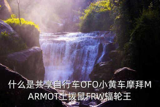 什么是共享自行車OFO小黃車摩拜MARMOT土撥鼠FRW輻輪王