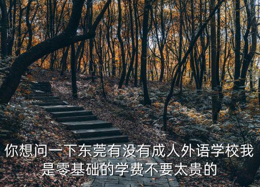 你想問一下東莞有沒有成人外語學校我是零基礎的學費不要太貴的