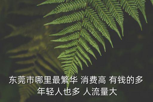 東莞市哪里最繁華 消費高 有錢的多 年輕人也多 人流量大