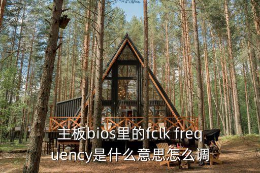 主板bios里的fclk frequency是什么意思怎么調(diào)