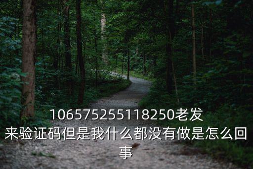 106575255118250老發來驗證碼但是我什么都沒有做是怎么回事