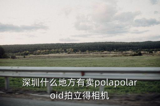 寶麗深圳專柜，深圳什么地方有賣polapolaroid拍立得相機