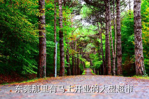東莞寮步2020無接觸超市，寮步華南工業(yè)園附近有什么超市