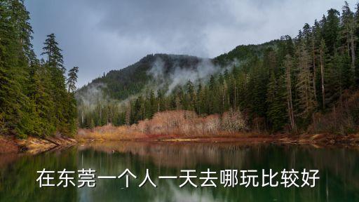 在東莞一個人一天去哪玩比較好