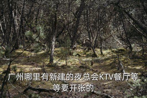 廣州哪里有新建的夜總會KTV餐廳等等要開張的