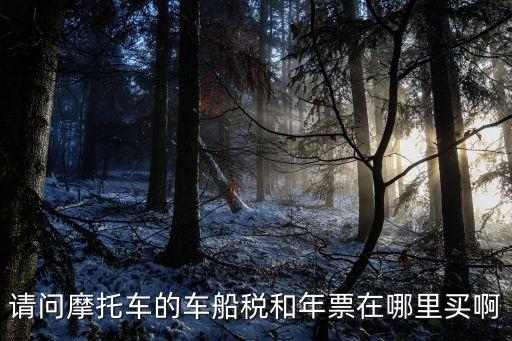 摩托車年票 廣州，請問摩托車的車船稅和年票在哪里買啊