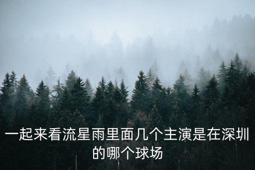 一起來看流星雨里面幾個主演是在深圳的哪個球場
