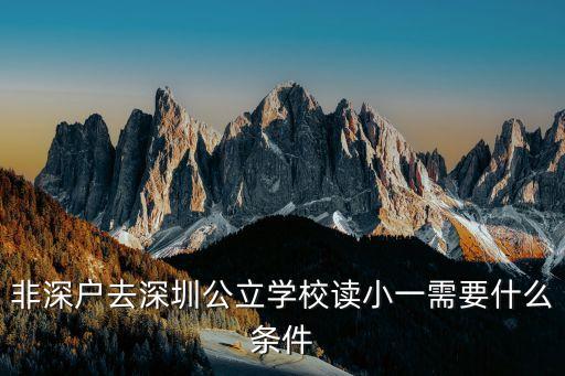 非深戶去深圳公立學校讀小一需要什么條件