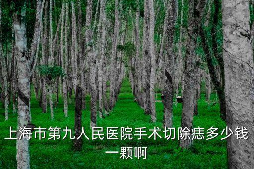 上海市第九人民醫(yī)院手術(shù)切除痣多少錢一顆啊