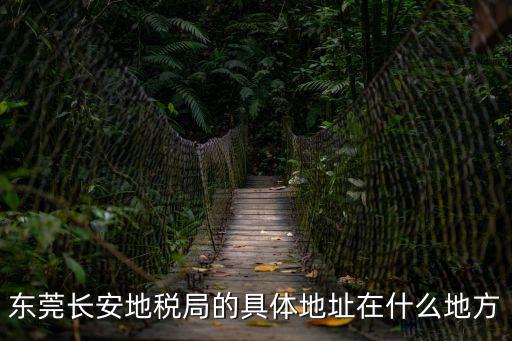 東莞長安地稅局的具體地址在什么地方